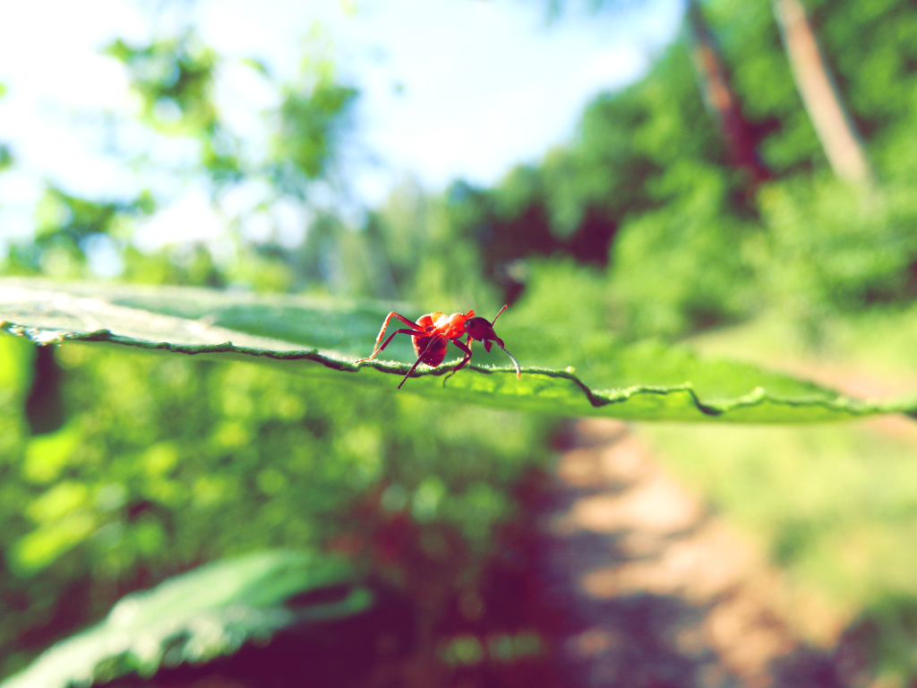 Dzień jak co&nbsp;dzień