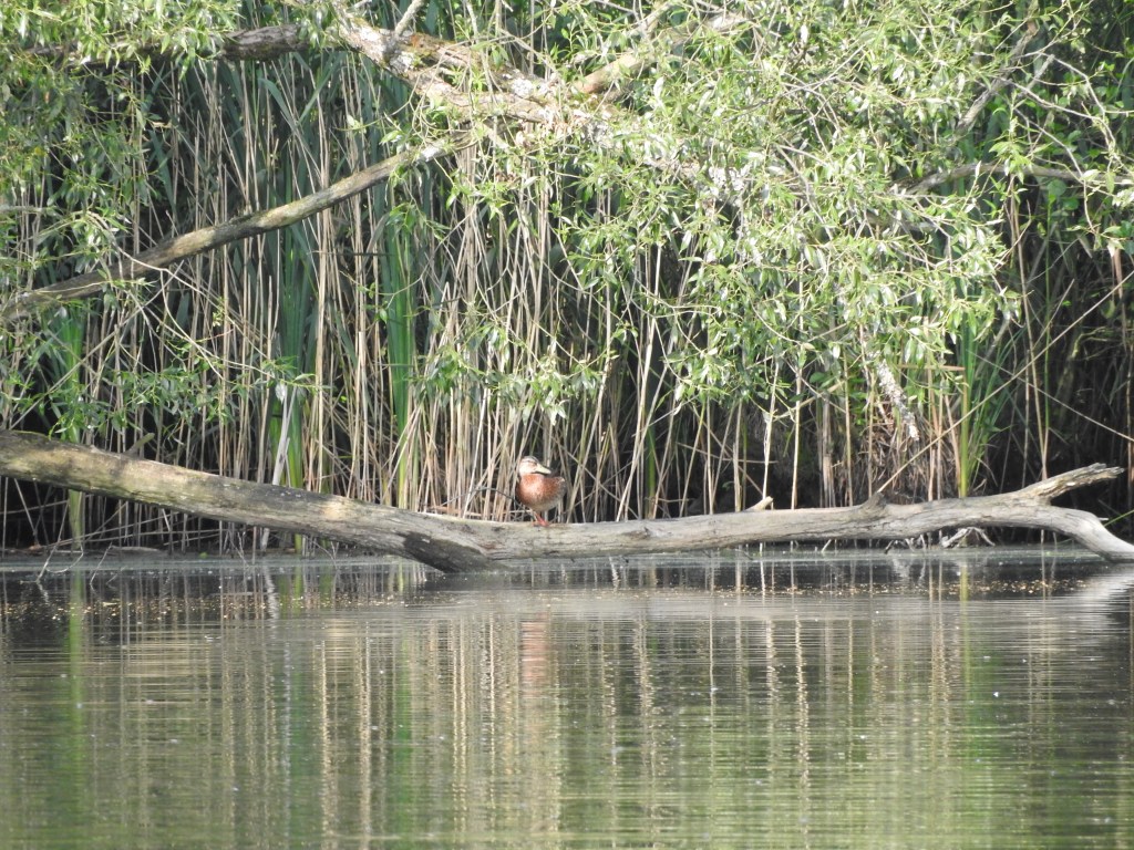 Na zachodzie bez&nbsp;zmian