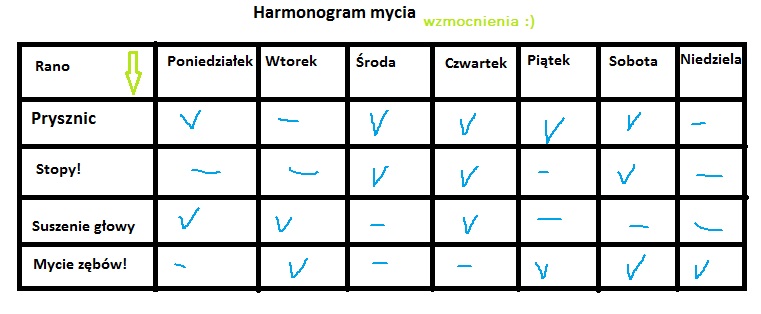Harmonogram mycia –&nbsp;wzmocnienia