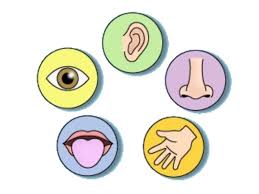 Tworzenie środowiska sprzyjającego rozwijaniu&nbsp;mowy