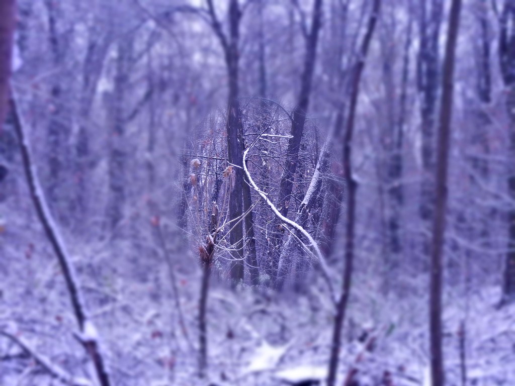 Trening uważności, mindfulness –&nbsp;obserwacja