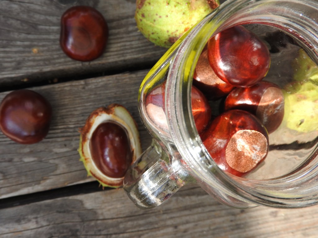 Przyszła Pani Jesień –&nbsp;scenariusz