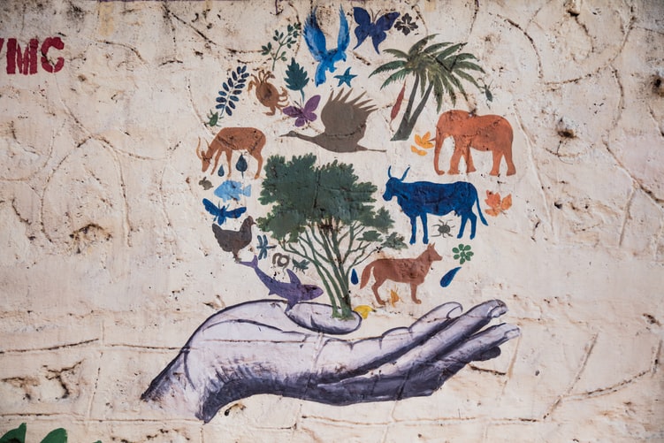 Historyjki obrazkowe – historyjki&nbsp;społeczne