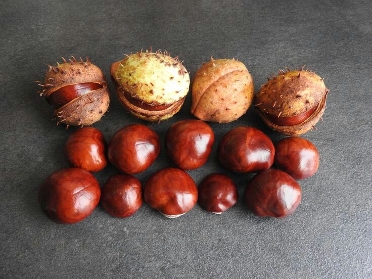 Usprawnianie manualne – Program zajęć rewalidacyjnych, niepełnosprawność intelektualna