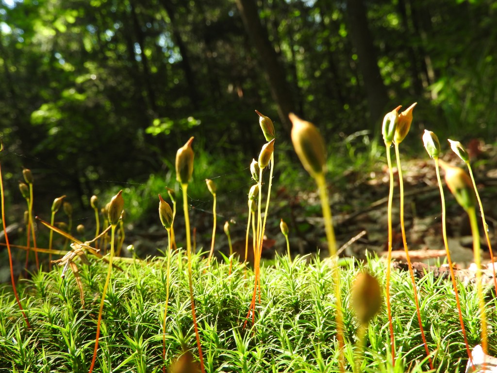 Zajęcia edukacyjno-terapeutyczne dla dziecka z głęboką niepełnosprawnością intelektualną – metoda dobrego startu M.&nbsp;Bogdanowicz