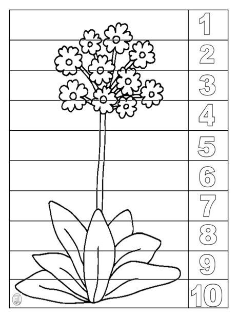 Pierwiosnek – arkusz pracy dla ucznia z niepełnosprawnością intelektualną