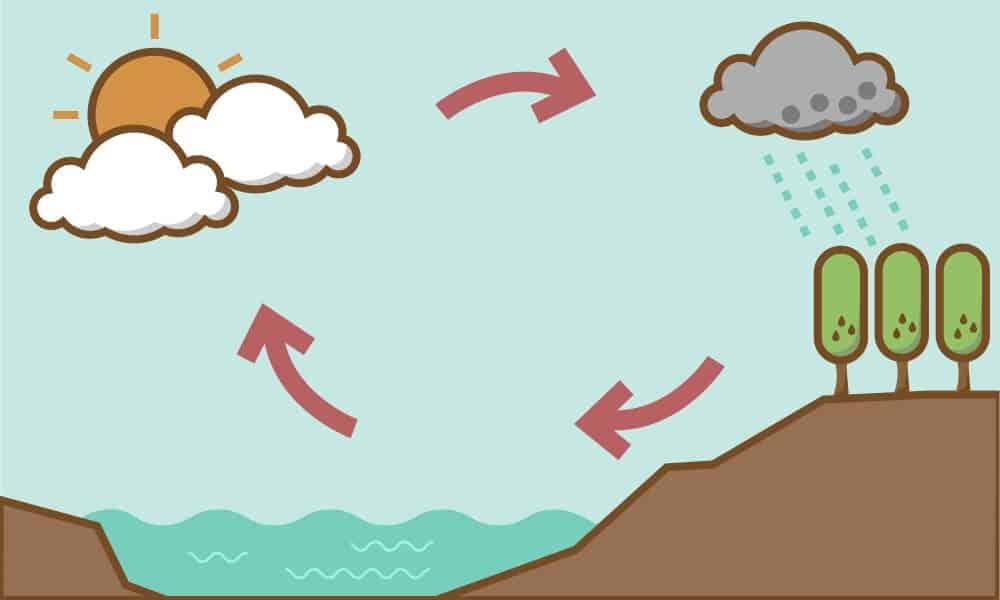 Dzień Wody scenariusze&nbsp;zajęć