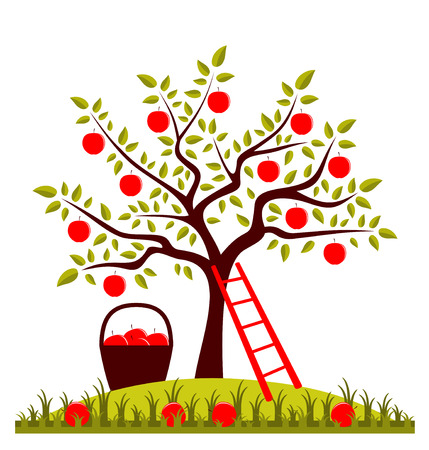 Tajemnice sadu – scenariusz zajęć z okazji Światowego Dnia&nbsp;Jabłka