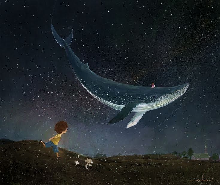 Niezwykłe Przypadki Morświna