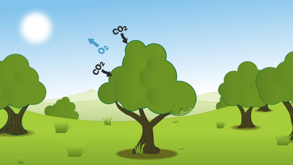 Powietrze – scenariusze na Dzień&nbsp;Ziemi