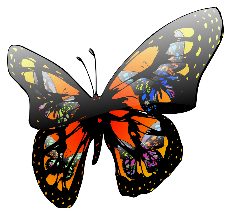 Efekt Motyla – teoria chaosu w&nbsp;szkole