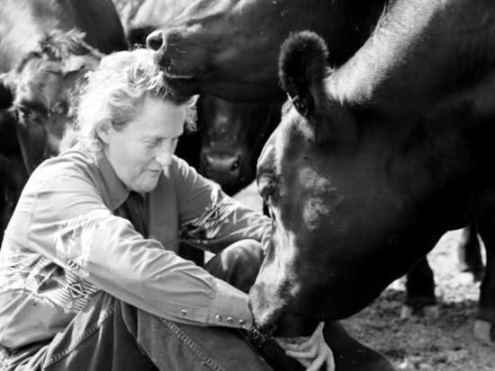 Inspirujące historie sukcesu  autystycznych osób na&nbsp;świecie